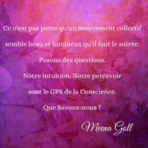 Citations Et Reflexions Meena Goll